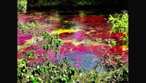 תערוכת צילומים :נופים קסומים בשלל צבעים