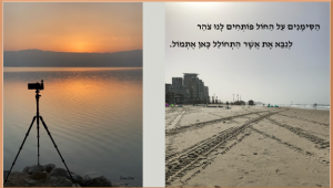 הסימנים על החול פותחים לנו צהר לנבא את אשר התחולל כאן אתמול