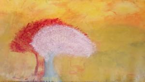 ''הוראות הפעלה לאאוטסיידרית'' 