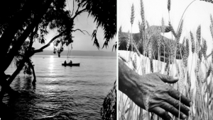 1956 | כנרת 1968