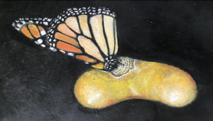 דימוי של פרפר הבוקע מפקעת. ג'וני אילתי