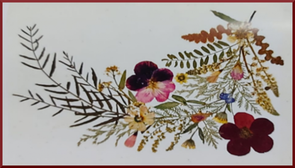 אלבומי הפרחים המיובשים מירושלים